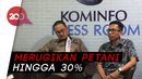 Isu Pemblokiran Iklan Rokok Berdampak ke Petani Tembakau Isu Pemblokiran Iklan Rokok Berdampak ke Petani Tembakau