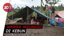 Menilik Kehidupan Warga Usai Gempa M 7,2 di Halmahera Selatan Menilik Kehidupan Warga Usai Gempa M 7,2 di Halmahera Selatan