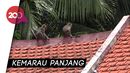 Kemarau Panjang, Kawanan Kera Serbu Permukiman Warga di Banyumas Kemarau Panjang, Kawanan Kera Serbu Permukiman Warga di Banyumas