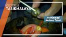 Kuliner Tutut Siput Sawah Balong Kanyun Tasikmalaya Kuliner Tutut Siput Sawah Balong Kanyun Tasikmalaya