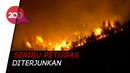 Ngerinya Kebakaran Hutan di Portugal Ngerinya Kebakaran Hutan di Portugal