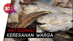 80 Gambar Lucu Ikan Asin Paling Keren 80 Gambar Lucu Ikan Asin Paling Keren