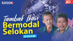 Tambak Ikan Bermodal Selokan
