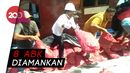 Bawa Bawang Selundupan, 2 Kapal di Aceh Diamankan Bea-Cukai Bawa Bawang Selundupan, 2 Kapal di Aceh Diamankan Bea-Cukai