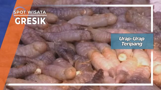 Urap Urap Blunyo Teripang Ujung Pangkah Gresik