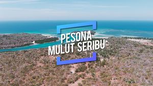  Kenalan Sama Mulut Seribu, Raja Ampat ala Pulau Rote