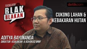 Blak-blakan Aditya Bayunanda: Cukong Lahan dan Kebakaran Hutan