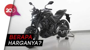 Penyegaran Desain dan Fitur Anyar Yamaha MT-25