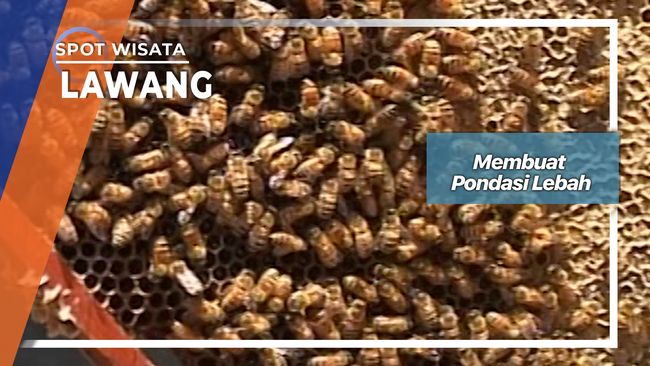 Membuat Sarang  Lebah  Lawang Jawa Timur