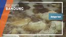 Batagor Isan Kudapan Khas Bandung Batagor Isan Kudapan Khas Bandung