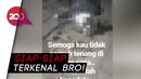 Sadis! Kucing Dicekoki Ciu Hingga Mati Sadis! Kucing Dicekoki Ciu Hingga Mati