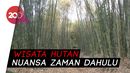 Menjelajah Wisata Hutan Bambu di Pedalaman Polewali Mandar Menjelajah Wisata Hutan Bambu di Pedalaman Polewali Mandar