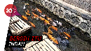 Wih! di Banyuwangi Saluran Irigasi Penuh Sampah Disulap Jadi Kolam Ikan Wih! di Banyuwangi Saluran Irigasi Penuh Sampah Disulap Jadi Kolam Ikan