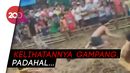 Dijamin Ngakak! Lomba Tangkap Anak Babi Sambil Merangkak Dijamin Ngakak! Lomba Tangkap Anak Babi Sambil Merangkak