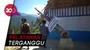 Puting Beliung Obrak-abrik Kantor Desa di Mamasa Puting Beliung Obrak-abrik Kantor Desa di Mamasa