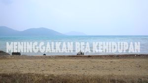Motor Listrik di Kepulauan, Tak Lagi Keluhkan BBM
