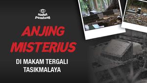 Anjing Misterius di Makam Tergali Tasikmalaya