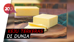 Ada Keju Sekeras Batu Ada Keju Sekeras Batu