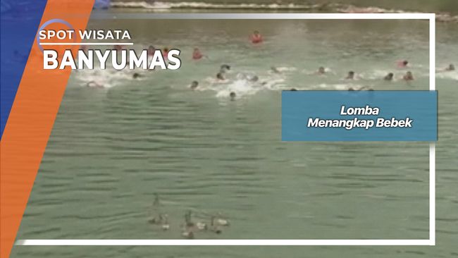 Lomba Unik Menangkap Bebek Desa Pancasan Ajibarang Banyumas