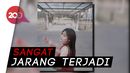 Dokter Jantung Jelaskan Soal Desy Nurhakiki yang Meninggal di Usia Muda Dokter Jantung Jelaskan Soal Desy Nurhakiki yang Meninggal di Usia Muda