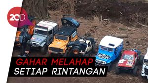 Membelah Hutan Pinus dengan Mobil RC