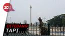 Pengelola Jelaskan Alasan Penebangan 190 Pohon di Monas Pengelola Jelaskan Alasan Penebangan 190 Pohon di Monas