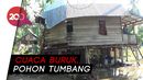 Tolong... Rumah Warga Miskin di Polman Hancur Ketiban Pohon Tolong... Rumah Warga Miskin di Polman Hancur Ketiban Pohon