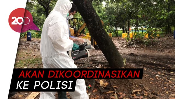 Bapeten Punya Data Pengguna Industri Pemakai Limbah Radioaktif Cesium