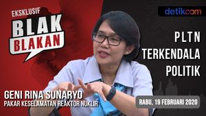 Blak-blakan Pakar Nuklir Batan: PLTN Terkendala Politik