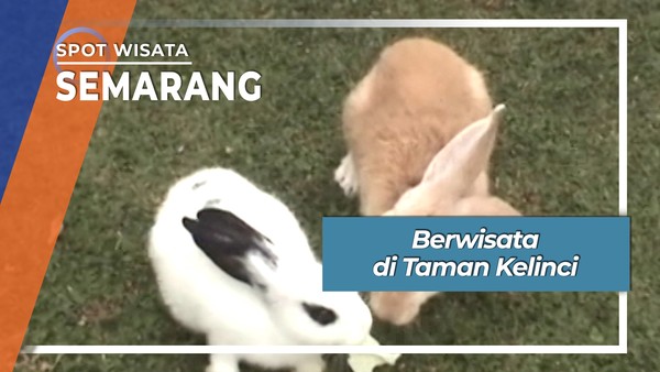 Berwisata di Taman Kelinci Semarang Jawa Tengah