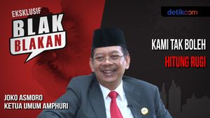 Blak-blakan Ketum Amphuri: Kami Tak Boleh Hitung Rugi