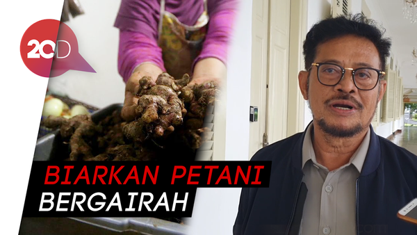 Harga Jahe Merah Naik, Mentan: Nggak Masalah, Bagus