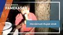 Rujak Urek, Kudapan Buah Timun Khas Pamekasan Madura Rujak Urek, Kudapan Buah Timun Khas Pamekasan Madura