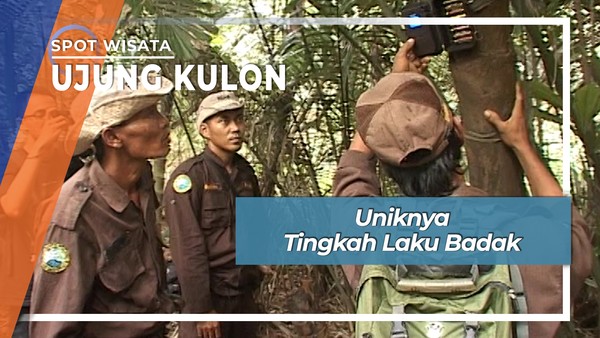 Unik Restoran Badak Di Ujung Kulon Banten