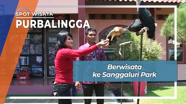 Taman Reptil dan Serangga di Sanggaluri Park Purbalingga 
