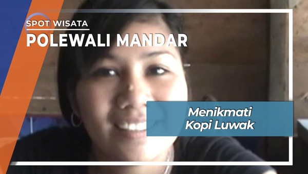 Asli Enak Kopi Luwak Putri di Polewali Mandar Sulawesi Barat