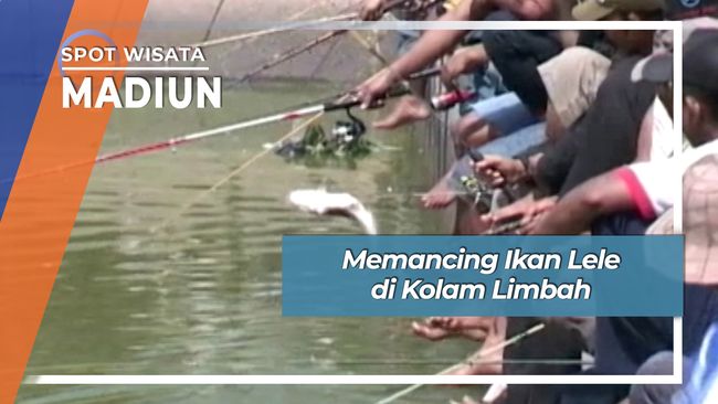 Memancing Ikan Lele di Kolam  Limbah  Madiun