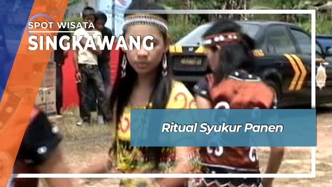 Tradisi Bujang Barani Singkawang