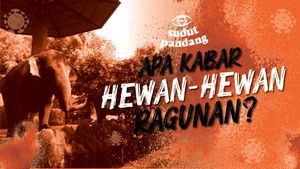 Nasib Satwa Ragunan Saat Corona Melanda