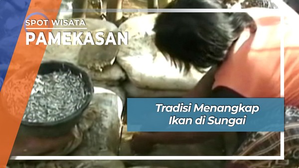 Tradisi Menangkap Ikan di Sungai, Pamekasan