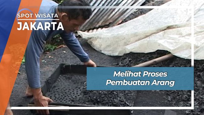 Melihat Proses  Pembuatan  Arang  Jakarta