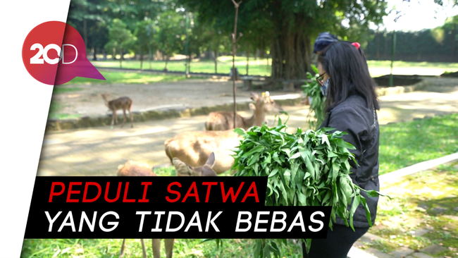 Aksi Donasi Pakan untuk Satwa di Taman Balekambang Solo