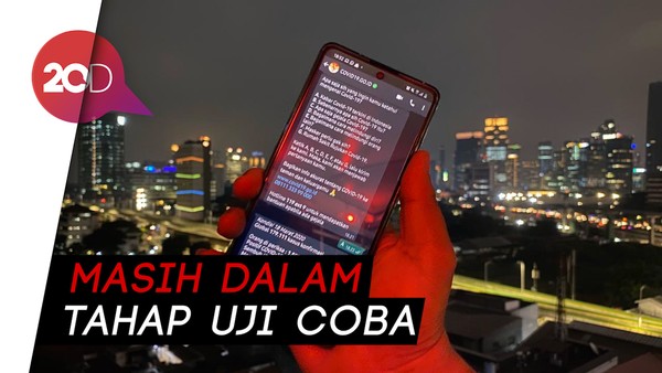 6 Fitur Baru WhatsApp: Cari Chat Sesuai Tanggal hingga Cari Gambar di Web