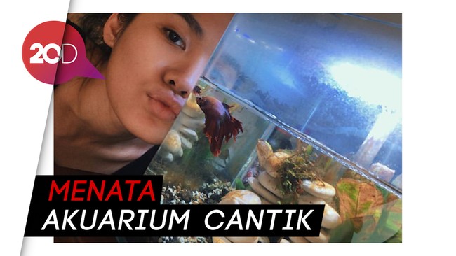 Hikmah Pandemi, Sheryl Sheinafia Jadi Jago Bikin Aquascape