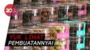 Kukis Jengkol yang Unik dan Tidak Bau Kukis Jengkol yang Unik dan Tidak Bau