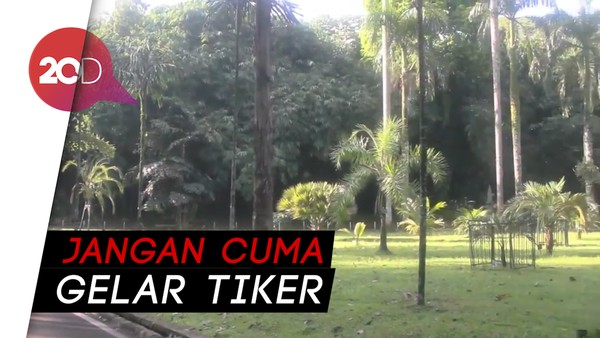 Kebun Raya Dibuka Bertahap, LIPI Ingin Wisatawan Naik Kelas