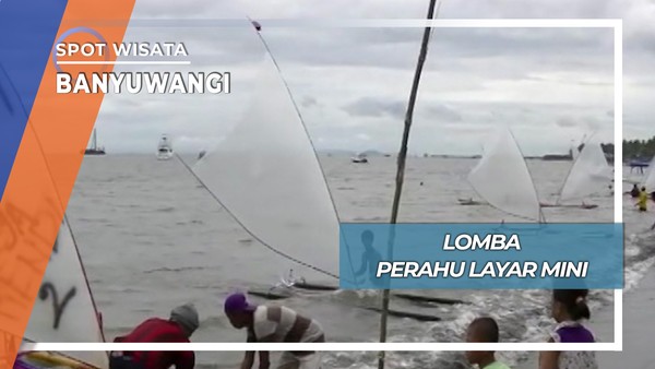 Lomba Perahu Layar Mini, Banyuwangi