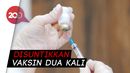 Skema Uji Klinis Vaksin Sinovac yang Akan Dijalani Relawan Skema Uji Klinis Vaksin Sinovac yang Akan Dijalani Relawan