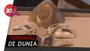 Wujud Masker Rp 22 Miliar Bikinan Israel Berlapis Emas dan Berlian Wujud Masker Rp 22 Miliar Bikinan Israel Berlapis Emas dan Berlian