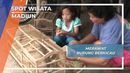 Merawat Burung Berkicau, Madiun Merawat Burung Berkicau, Madiun